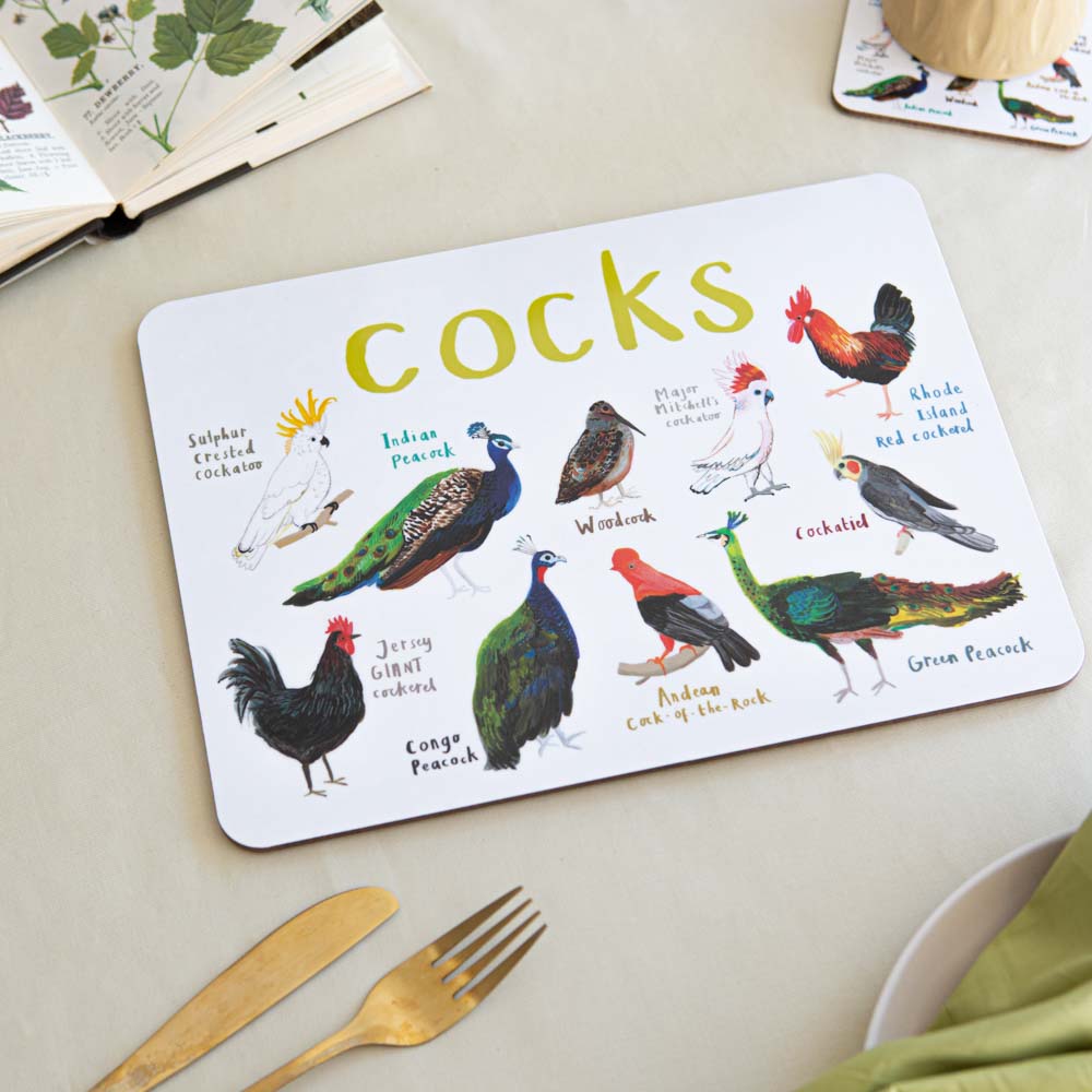 Boxed Set of 6 Playful Place Mats
