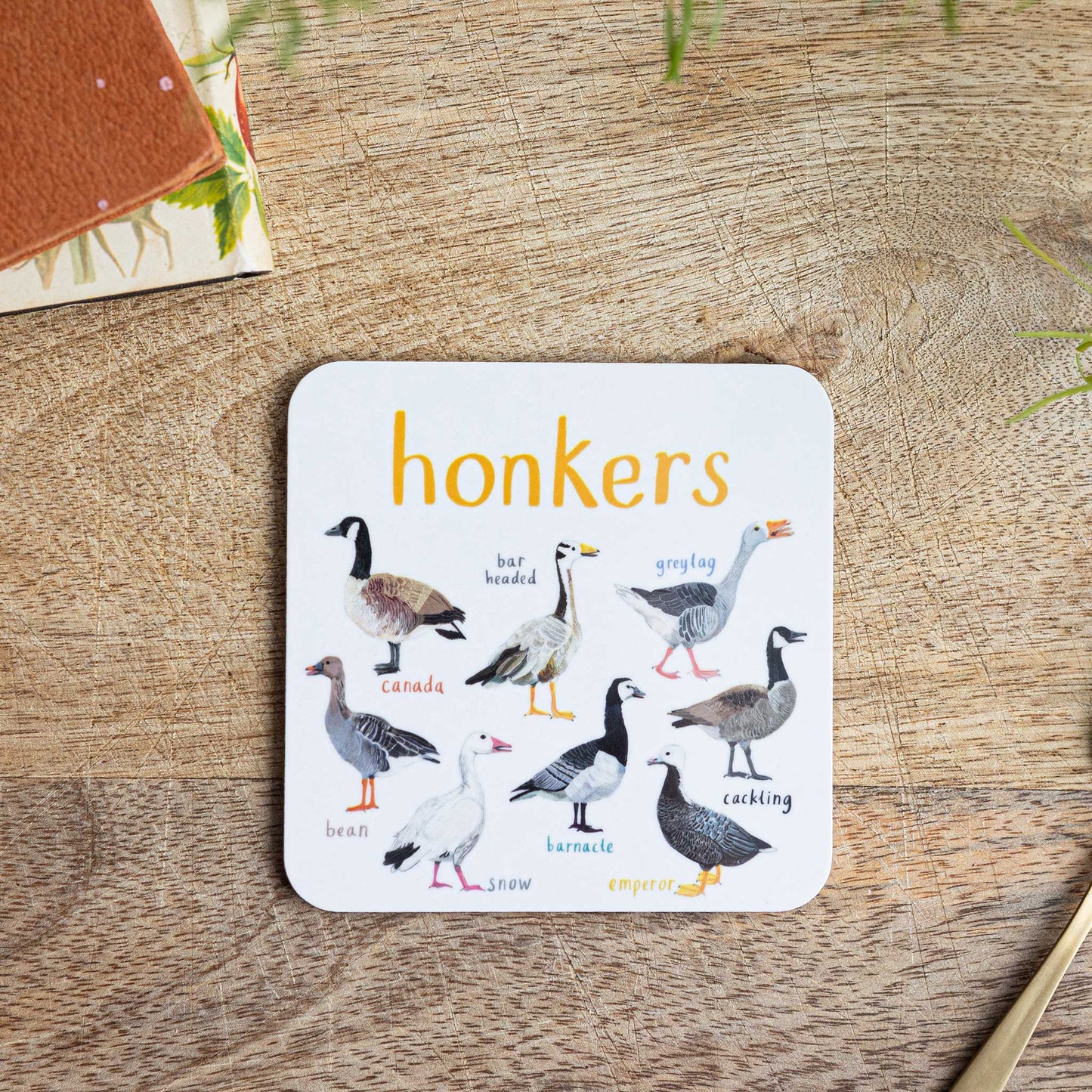 Boobies Bird Coaster – Sarah Edmonds Illustration