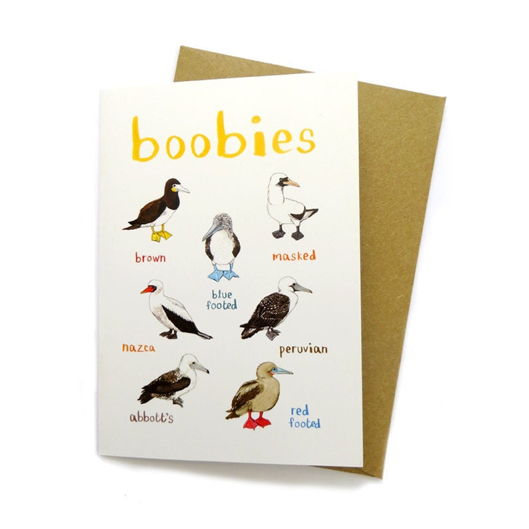 Boobies Card – Sarah Edmonds Illustration