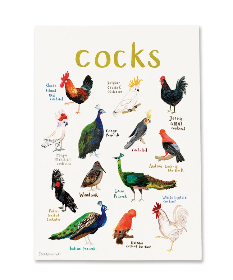 Cocks Art Print - A4