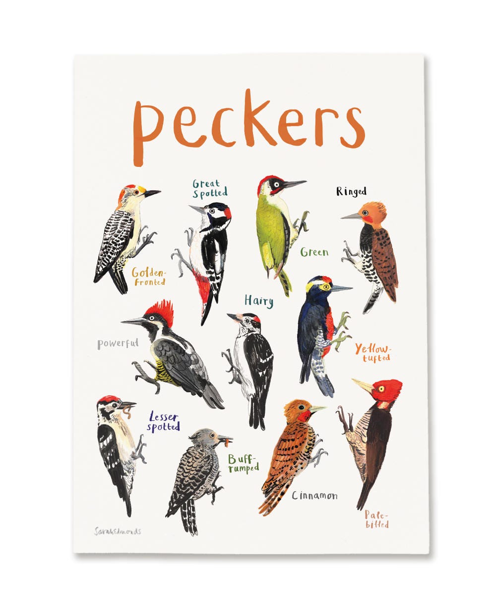 Peckers Art Print - A4