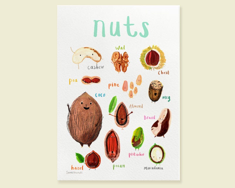 Nuts Art Print - A4
