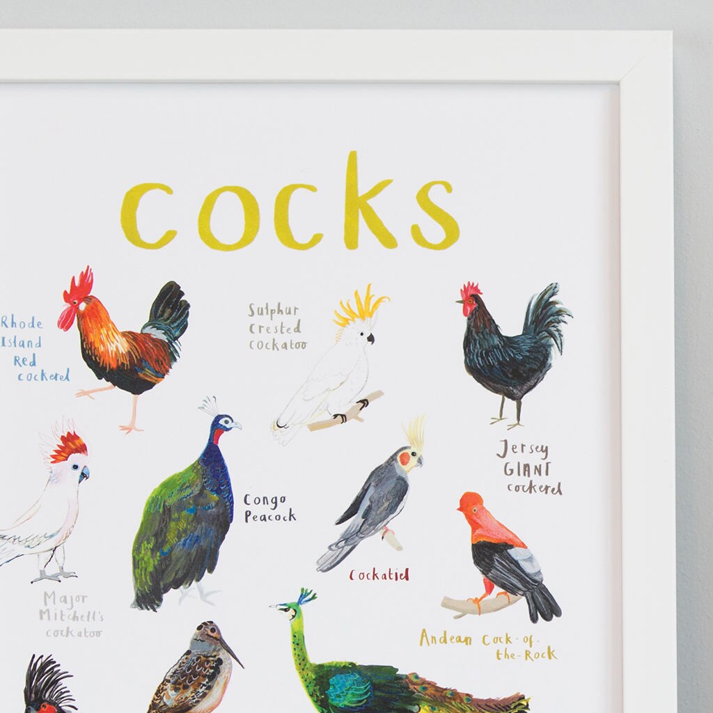 Cocks Art Print - A4