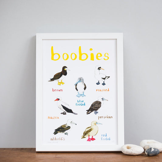 Boobies Art Print - A4