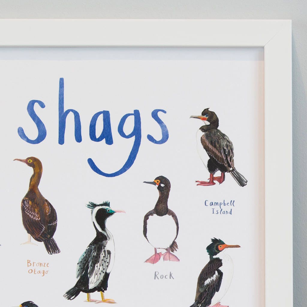 Shags Art Print A4 Sarah Edmonds Illustration 9282