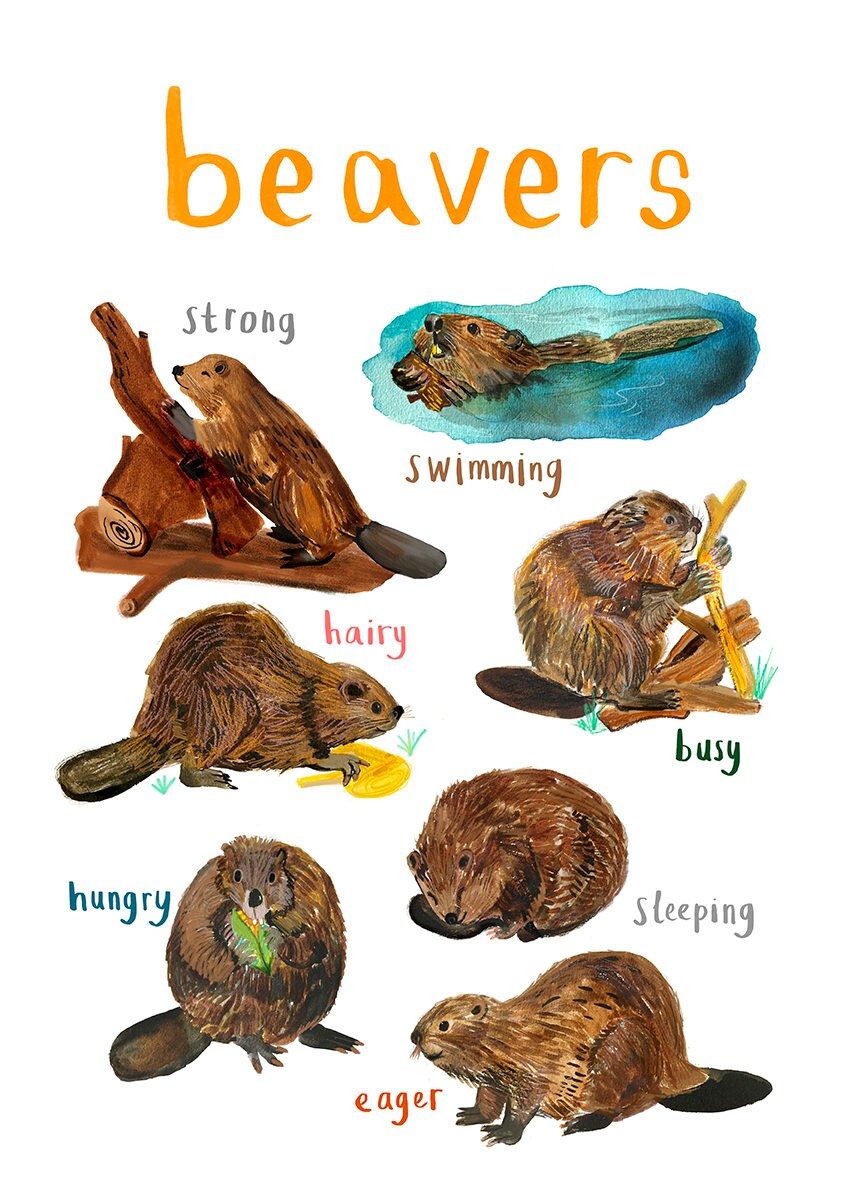 Beavers Art Print - A4