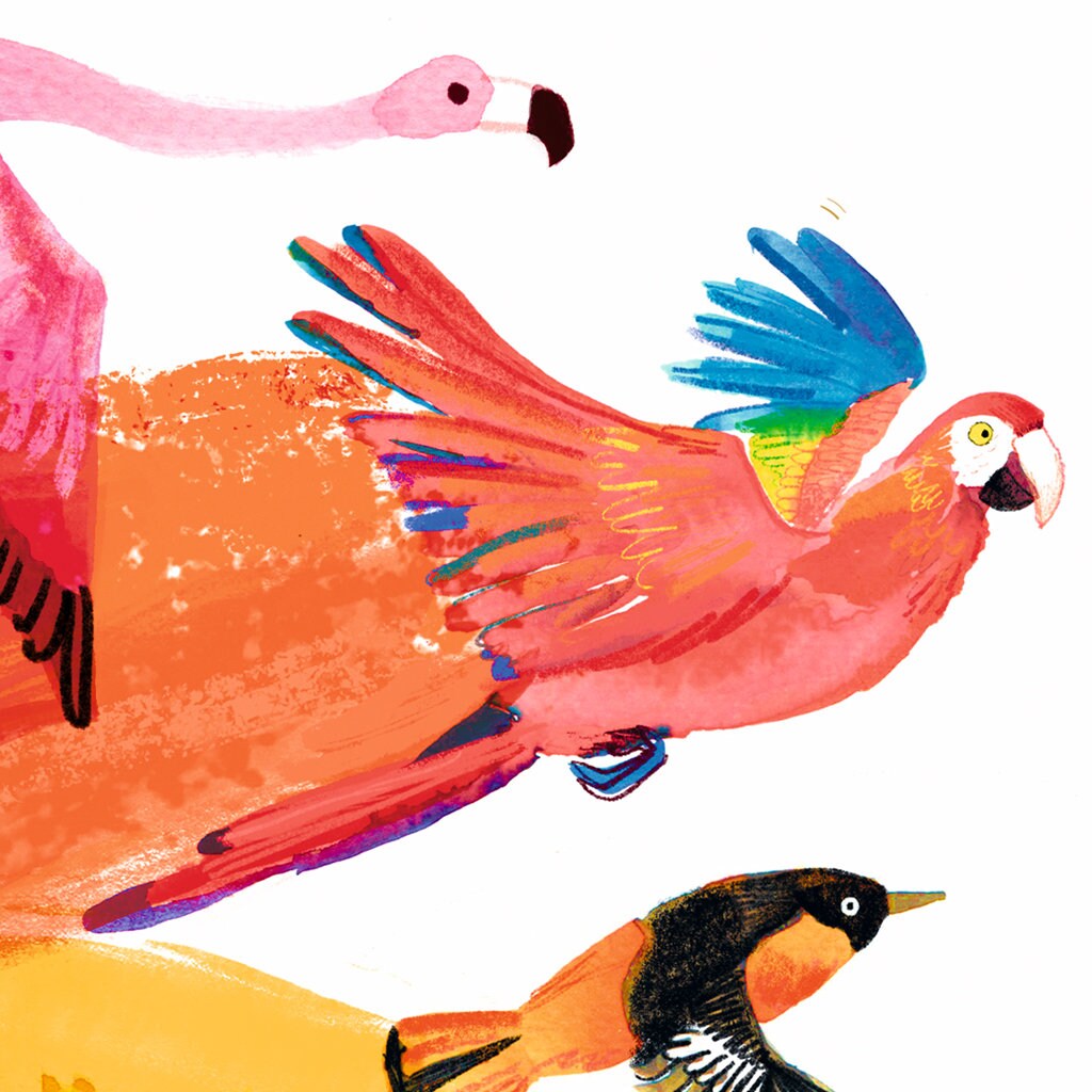 Bird Rainbow Art Print - A4