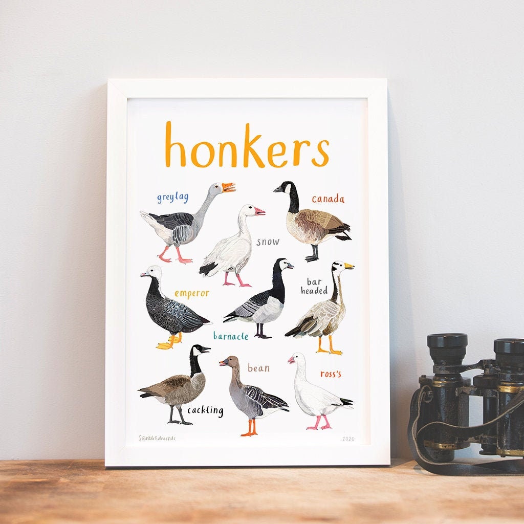 Honkers Art Print - A4