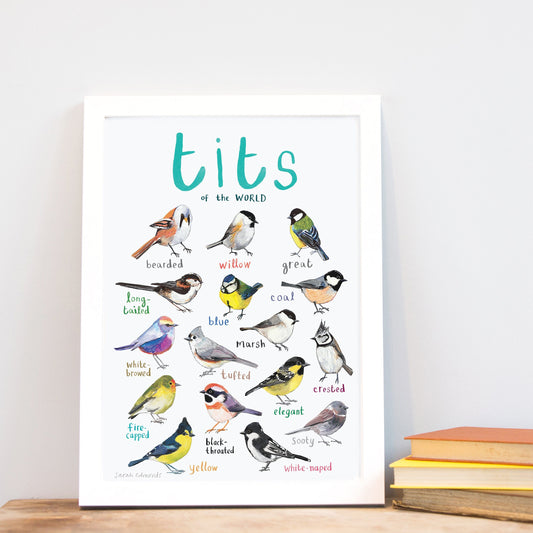 Tits of the WORLD - Bird Art Print - A4 - new edition!