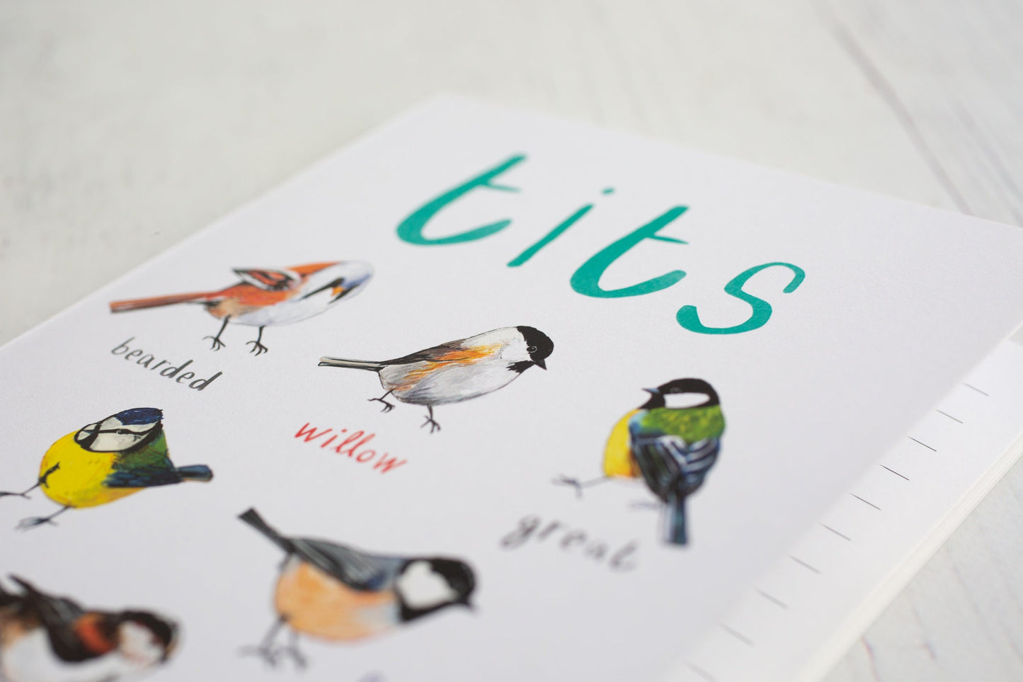 Tits A5 Recycled Bird Notebook