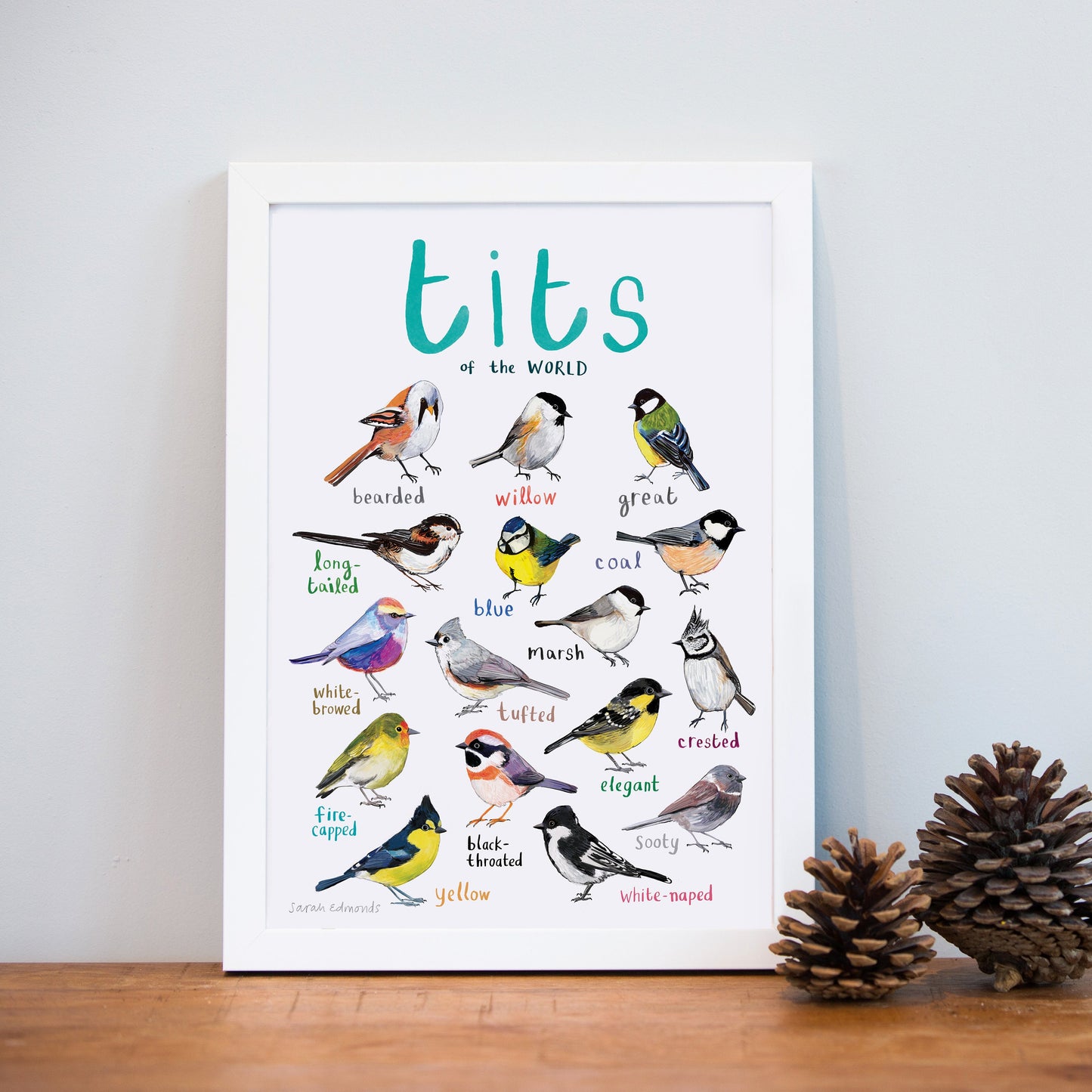 Tits of the WORLD - Bird Art Print - A4 - new edition!