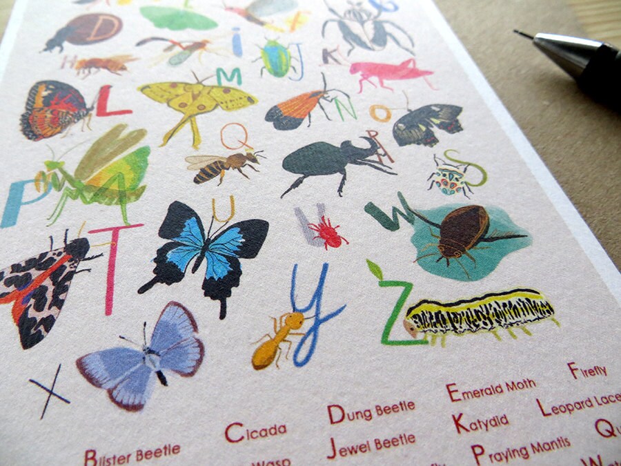 Insect Alphabet Card